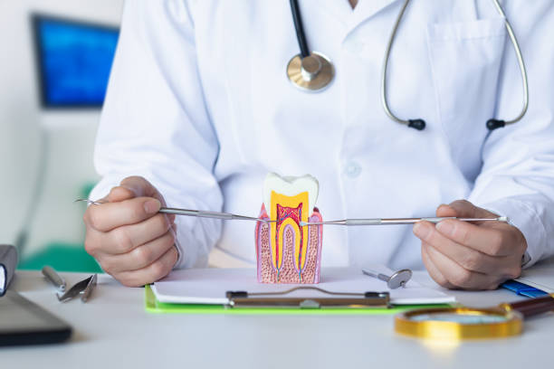 Best Orthodontic Emergency Dentist in Towson, MD